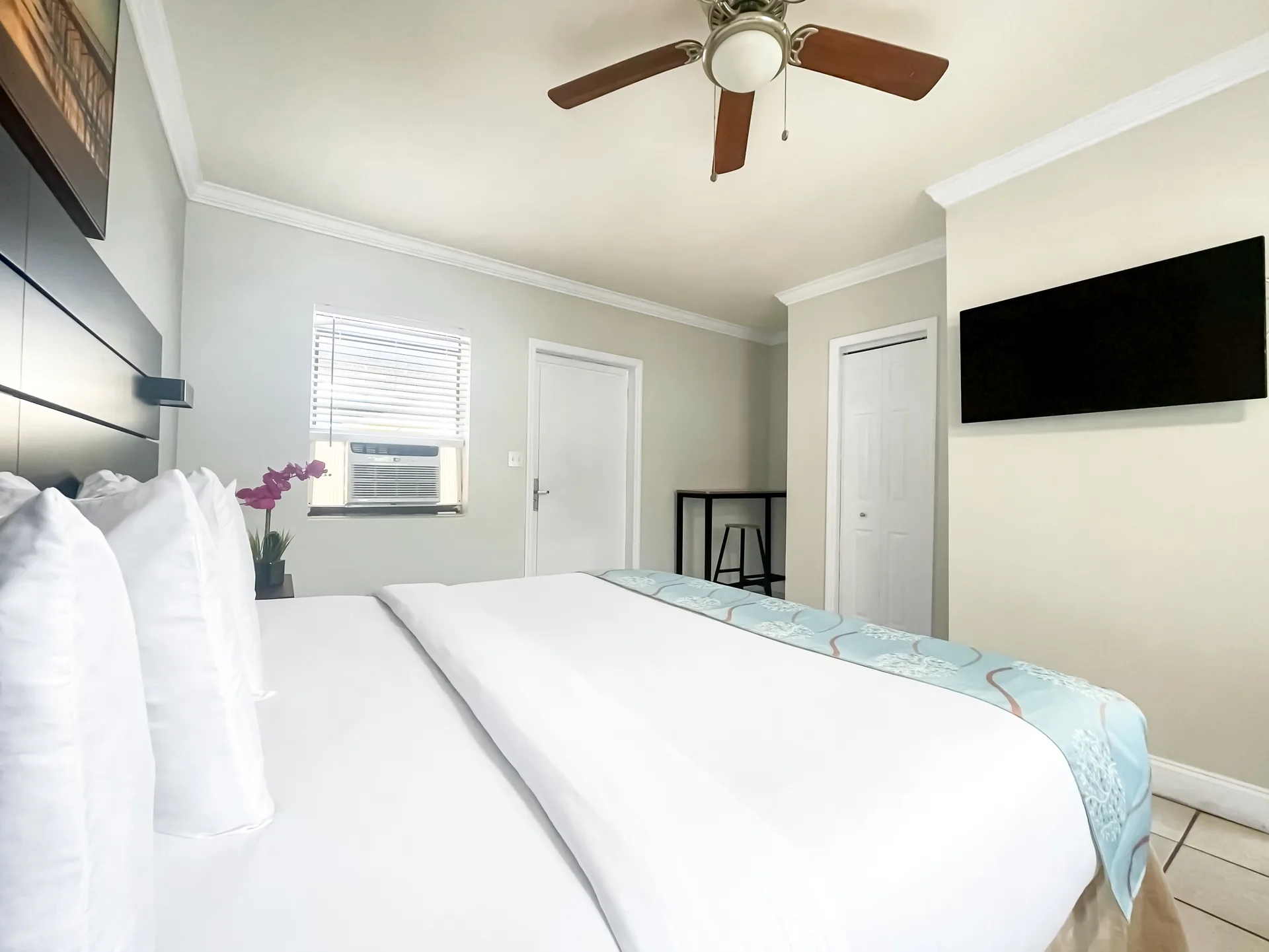 A hotel room with a large bed, TV, ceiling fan, window, and door.
